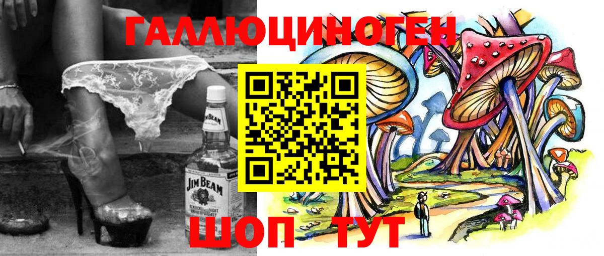 Псилоцибиновые грибы Psilocybe  Вход с VPN  Калуга 