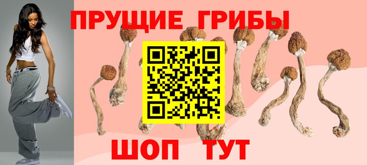 Галлюциногенные грибы Cubensis Калуга